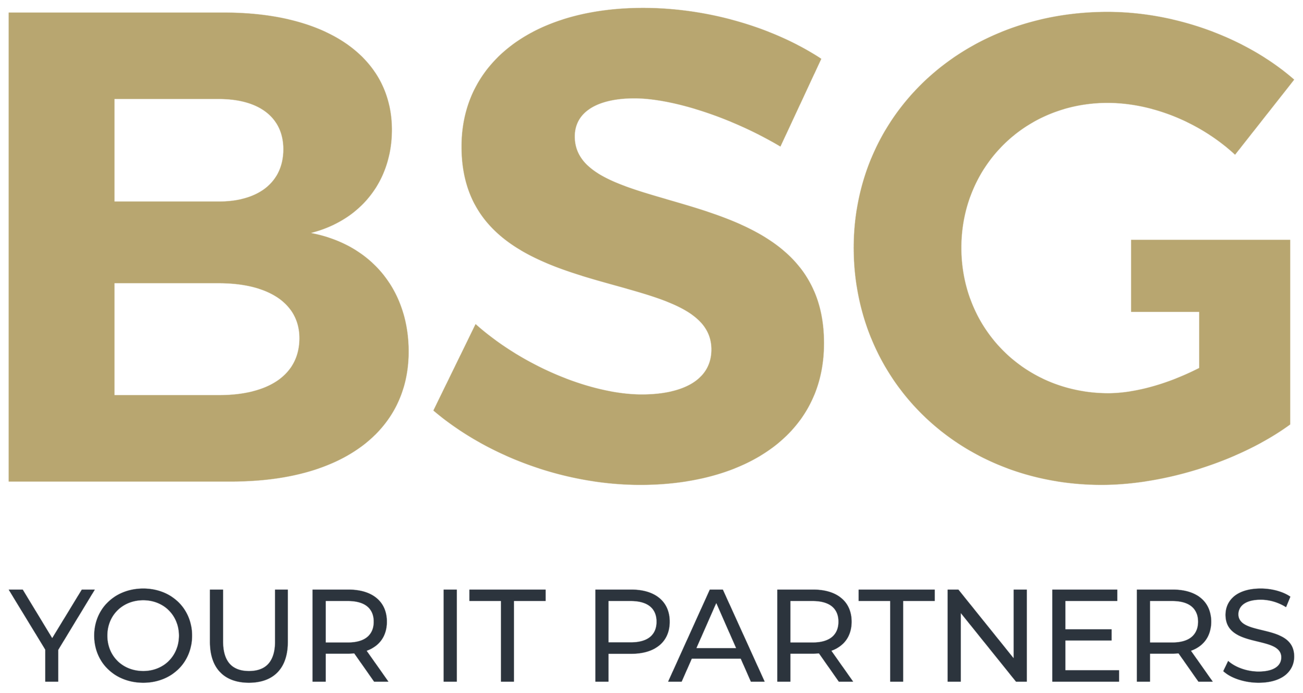 BSG Your IT Partners